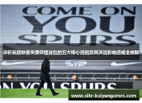 深析英超联赛突遭停摆背后的五大核心诱因及其深远影响透视全貌解